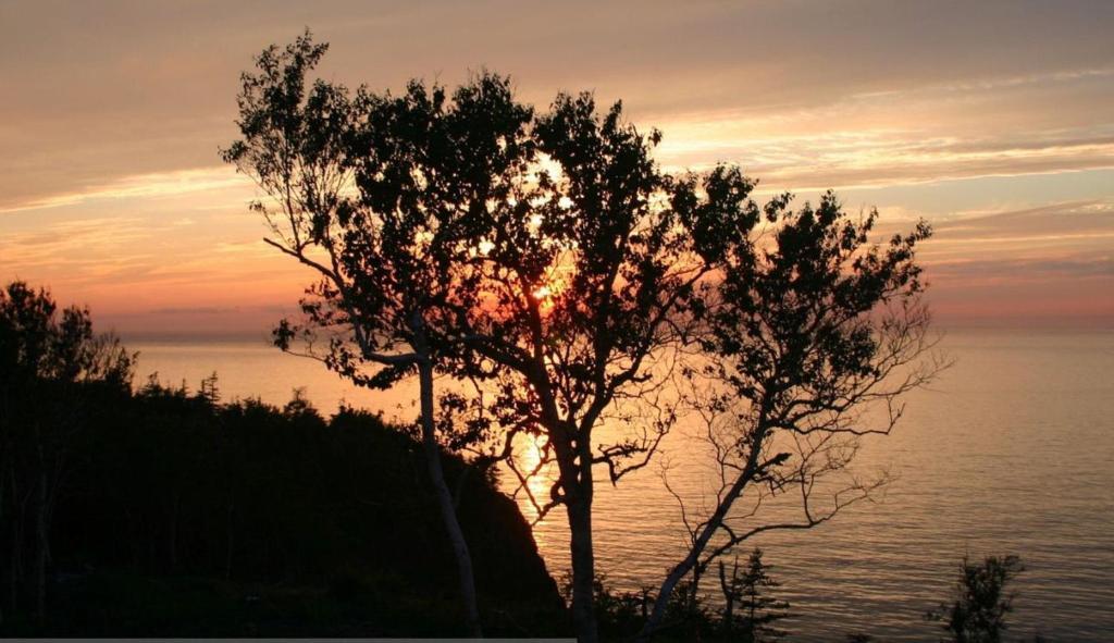 Cliffside Bed & Breakfast Culloden Ngoại thất bức ảnh